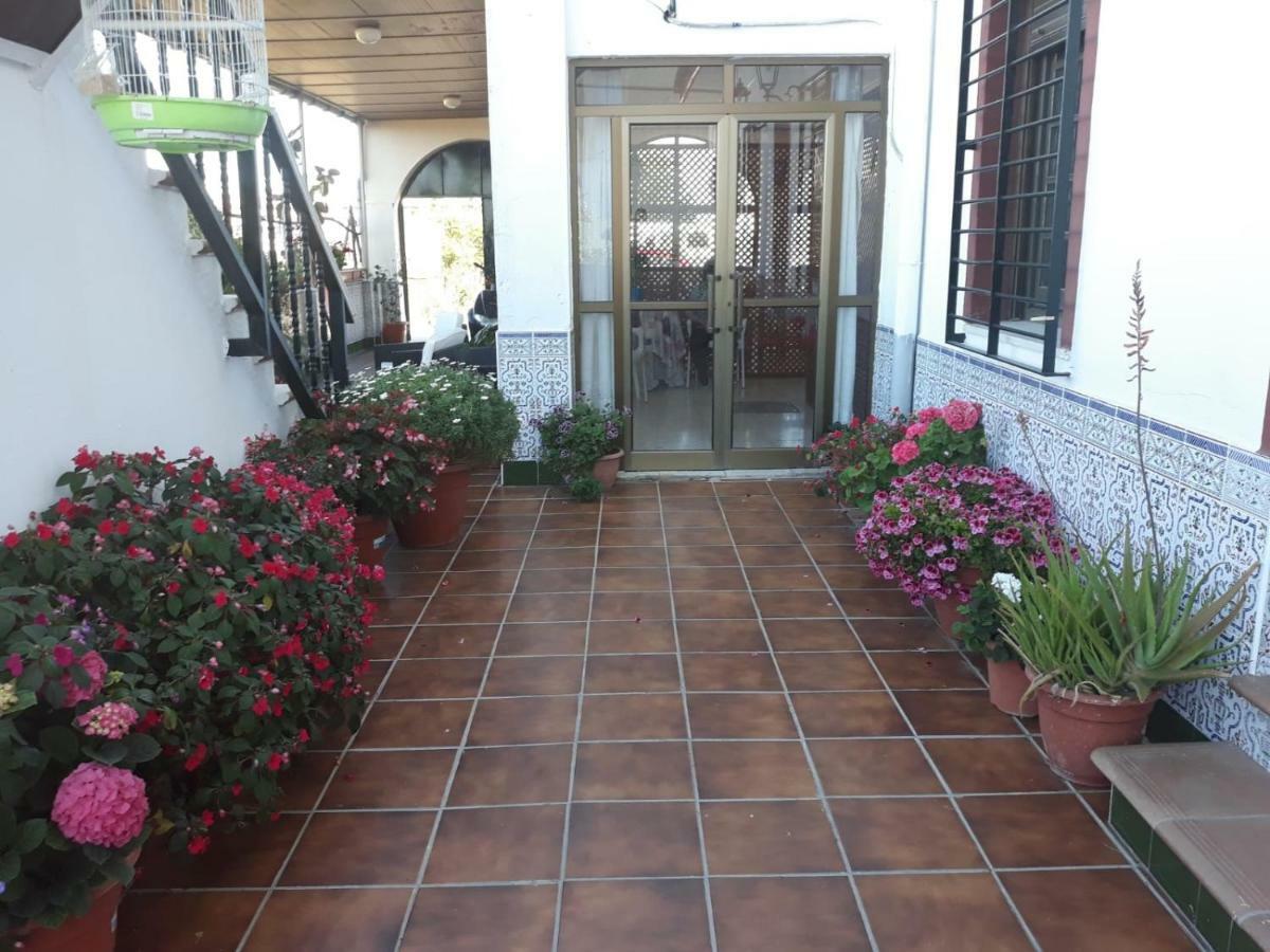 Vivienda Rural Alcazaba Casa de Campo *